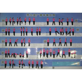 第九套廣播體操掛圖 pdf epub mobi 下载