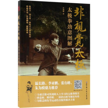 非视觉太极 pdf epub mobi 下载