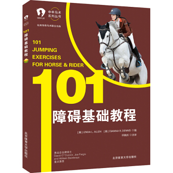 101障碍基础教程 pdf epub mobi 下载