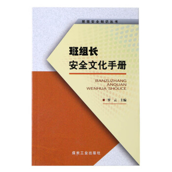 【全新正版】班组长安全文化手册 罗云编 煤炭工业出版社 煤矿煤炭安全类图书书籍A