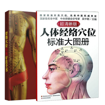 【全2冊】經絡穴位傳統療法全書（漢竹）+人體經絡穴位標準大圖冊國傢名老中醫專傢吳中朝針灸 pdf epub mobi 下载