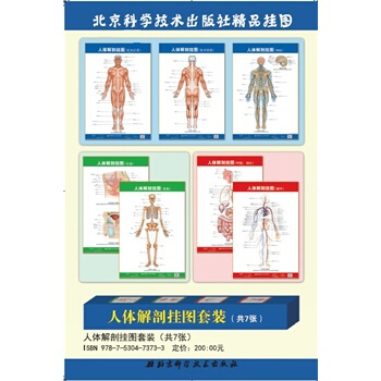 ★人體解剖掛圖套裝（共7張）劉榮珍/北京科技醫學 基礎醫學 解剖學 pdf epub mobi 下载