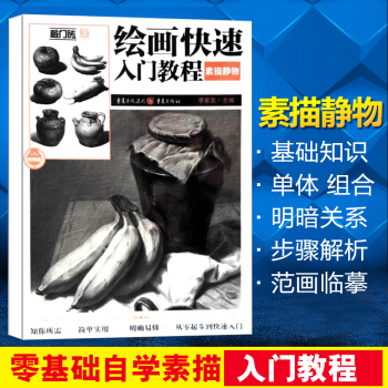 绘画快速入门教程素描静物零基础学素描 铅笔素描基础教程 素描书入门自学零基础 静物素描静物临摹 联考 pdf epub mobi 下载