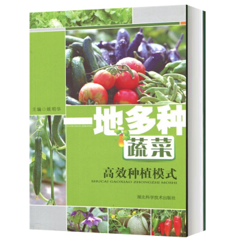 一地多种 蔬菜 高效种植模式 姚明华 编 湖北科学技术出版社 家庭种菜书 绿色蔬菜种菜的书 花草树木