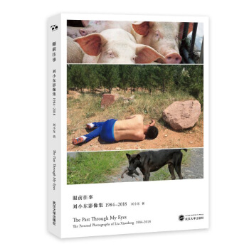 眼前往事:刘小东影像集1984—2018 软精装