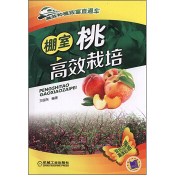 棚室桃高效栽培 果树栽培技术 病虫害防治 农作物种植技术 蔬菜水果栽培管理技术大全 农作物书高效栽培
