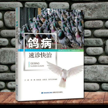 鸽病速诊快治 鸽子高效养殖书籍 鸽病诊断与防治书籍 鸽子常见病 多发病 新发病的鉴别诊断与治疗方法