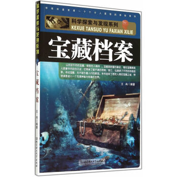 正版 宝藏档案 王冉著 北京理工大学出版社 pdf epub mobi 下载