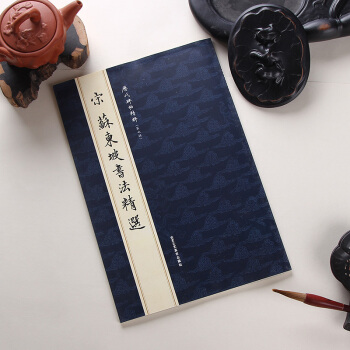 闪电发货 历代碑帖精粹：宋 苏东坡书法精选 苏轼书法 北京工艺美术 pdf epub mobi 下载