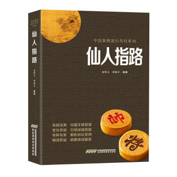 仙人指路 pdf epub mobi 下载