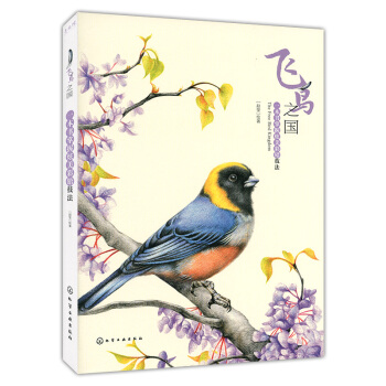 飞鸟之国：一本书掌握炫美彩铅技法 pdf epub mobi 下载
