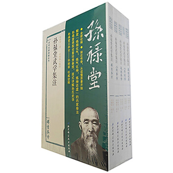 孙禄堂武学集注（套装共5册） 书籍 pdf epub mobi 下载