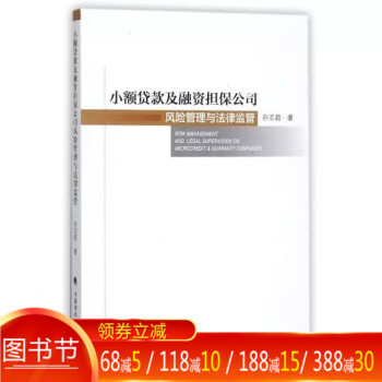 小额贷款及融资公司风险管理与法律监管 孙志超 9787562076346 政法大学出版社