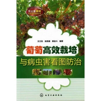 葡萄高效栽培与病虫害看图防治 王江柱 园艺种植书籍大全技术水产养殖书 葡萄高效栽培与病虫害防治 葡萄 pdf epub mobi 电子书 下载