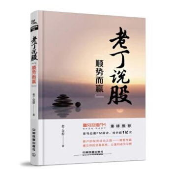 正版 老丁说股 顺势而赢 投资理财 基金 股市盈利炒股入门 选股买卖风险控制 散户炒股交易 大盘预测 pdf epub mobi 下载