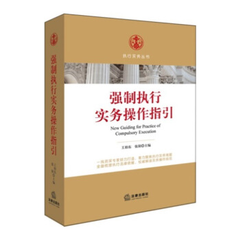 正版现货 强制执行实务操作指引