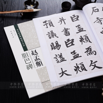 趙體趙孟頫膽巴碑 楷書毛筆書法字帖 米字格臨習曆代經典碑帖臨習正品 趙體楷書字帖 pdf epub mobi 下载