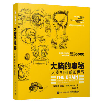 大脑的奥秘:人类如何感知世界