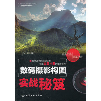 数码摄影构图实战秘笈 pdf epub mobi 电子书 下载