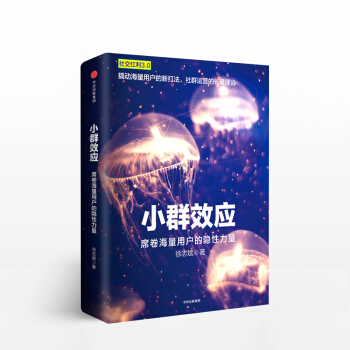 小群效应 席卷海量用户的隐性力量(精) pdf epub mobi 下载
