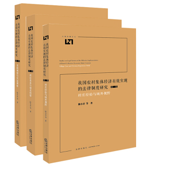 我国农村集体经济有效实现的法律制度研究 3本套 套装
