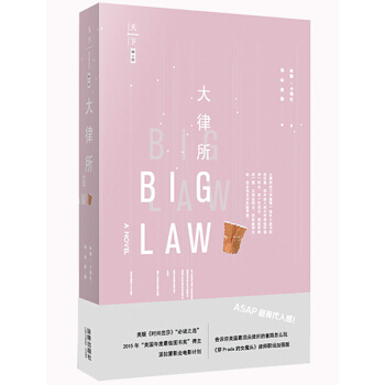 大律所 （美）林賽˙卡梅倫著，孫林、段靜譯 法律齣版社旗艦店 pdf epub mobi 下载