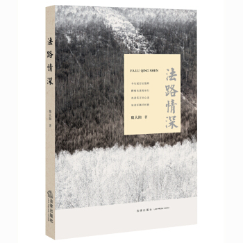 法路情深 魏大阳著 法律出版社 pdf epub mobi 下载