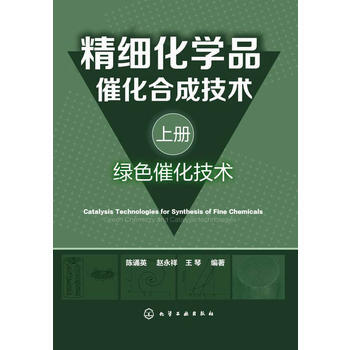 正版 精细化学品催化合成技术(上册，绿色催化技术) 陈诵英,赵永祥,王琴著 9787122 pdf epub mobi 电子书 下载