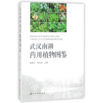 武汉南湖药用植物图鉴 pdf epub mobi 电子书 下载