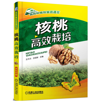核桃高效栽培核桃树园艺书籍 农业科学核桃栽培与病虫害防治技术核桃苗培育园地管理农业种植系列读物 种核 pdf epub mobi 下载