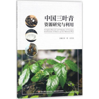 中國三葉青資源研究與利用