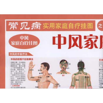 中風傢庭自療掛圖/常見病實用傢庭自療掛圖 pdf epub mobi 下载