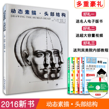 -15【量大從優】動態素描：頭部結構【美】伯恩.霍加思 頭部整體局部綫性素描五管輪廓結構誇張肖像漫畫 圖片色 pdf epub mobi 下载