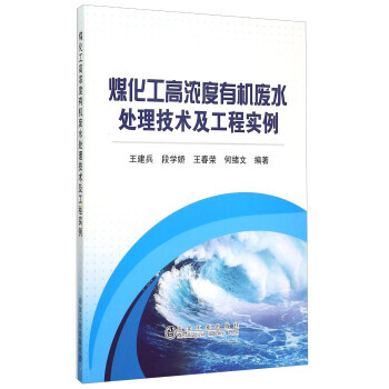 煤化工高浓度有机废水处理技术及工程实例