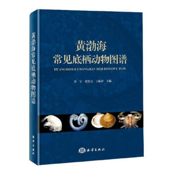 黃渤海常見底棲動物圖譜 pdf epub mobi 下载