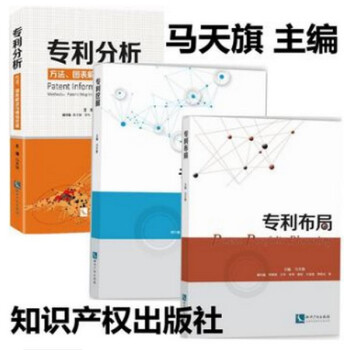 專利挖掘+專利布局+專利分析（方法圖錶解讀與情報挖掘） 馬天旗 主編 知識産權齣版社 全套3本 pdf epub mobi 電子書 下載