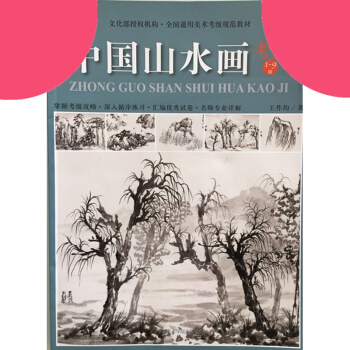 中國山水畫考級 1-9級 全國通用美術考級規範教材 pdf epub mobi 下载