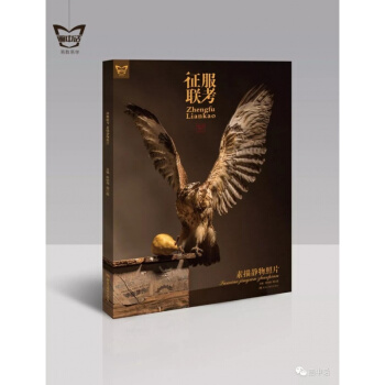 正版2018畫中話徵服聯考素描靜物照片 美術生聯考神器照片書 pdf epub mobi 下载