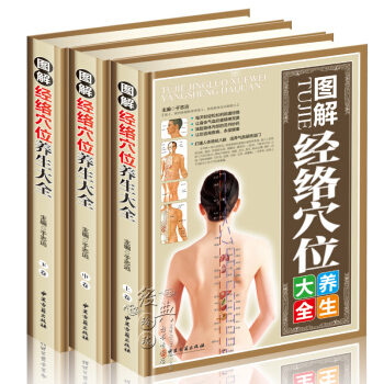 图解经络穴位养生大全彩图版全3册精装 人体经络穴位图解中医养生保健正版书籍 家庭按摩保健养生书籍 中 pdf epub mobi 下载
