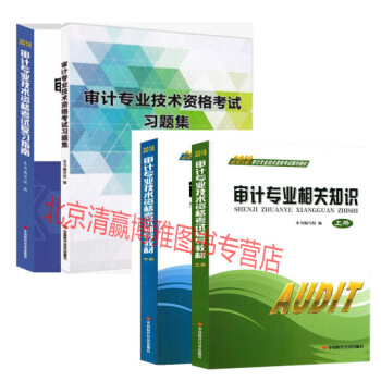 送課件2018年初中級審計師考試教材 上下冊+復習指南+考試習題集 共4本初中級審計師用書 配套用書 pdf epub mobi 下载