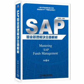 SAP 基金管理模块全面解析 pdf epub mobi 下载