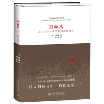 荆棘丛：关于法律与法学院的经典演讲([美]卢埃林) pdf epub mobi 电子书 下载