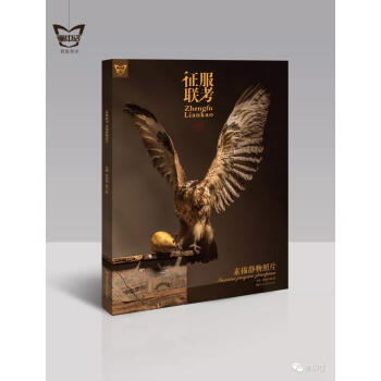 正版2018画中话征服联考素描静物照片美术生联考必备神器照片书 pdf epub mobi 下载