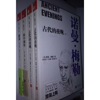 （二手）诺曼·梅勒文集 套装共4册 pdf epub mobi 下载