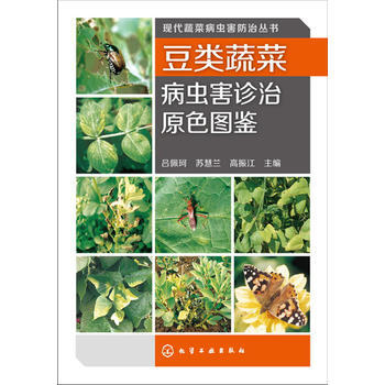 现代蔬菜病虫害防治丛书--豆类蔬菜病虫害诊治原色图鉴 9787122174451 化学工业 pdf epub mobi 电子书 下载