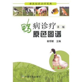鴨病診療原色圖譜 第二版(獸醫臨床診療寶典) 9787109193116 中國農業齣版社