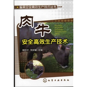 畜禽安全高效生产技术丛书--肉牛安全高效生产技术 魏刚才,常新耀 978712213966 pdf epub mobi 下载