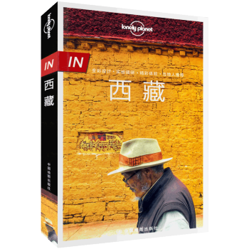 【正版包邮】孤独星球Lonely Planet旅行指南IN：西藏 神的孩子都要去拉萨 318国道路书 pdf epub mobi 下载