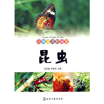 旧书二手正版动物王国的秘密--昆虫 韦红梅,牙韩色 9787122016232 化学工业出 pdf epub mobi 下载