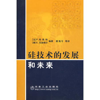 矽技術的發展和未來P 希弗特E 剋瑞梅爾 (法)希弗特,(德)剋瑞梅爾著,屠海令 9787 pdf epub mobi 電子書 下載